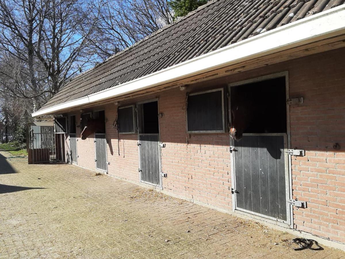 'T Wolthoes Vlagtwedde Exteriör bild