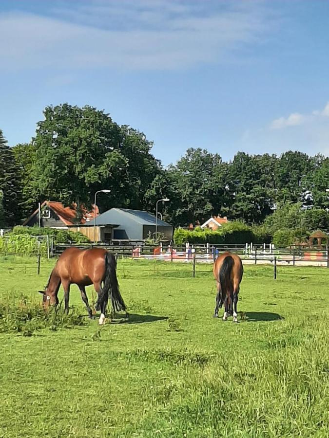 'T Wolthoes Vlagtwedde Exteriör bild